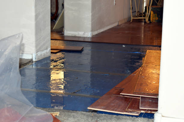 Professional Water Damage technician working in Wedgefield, FL