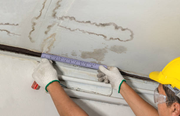 Reliable Water Damage contractor in Wedgefield, FL by Water Damage Irwin